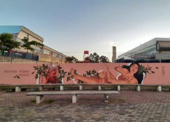 5ª edição de projeto do museu de arte de rua entregará mais de 100 obras