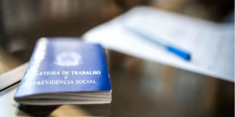 População imigrante de SP