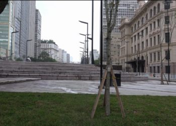 Áreas verdes no Novo Anhangabaú