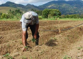 Cadastro em programas rurais