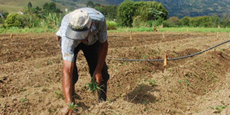 Cadastro em programas rurais