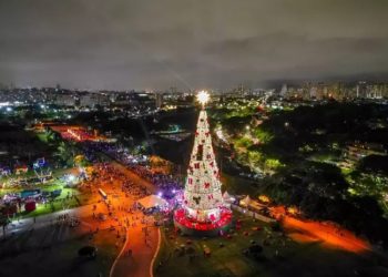 Árvore de Natal do Parque Villa Lobos
