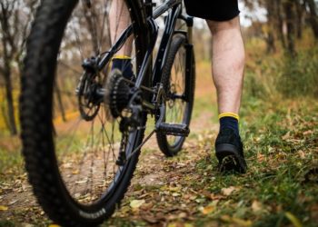 Interparques: Conheça a maior trilha na cidade de São Paulo