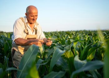 Seguro rural para produtores: Governo de SP destina R$ 90 milhões