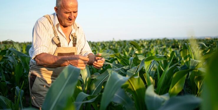 Seguro rural para produtores: Governo de SP destina R$ 90 milhões