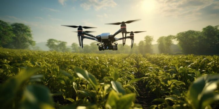 Agronegócio segue movendo economia do estado de São Paulo