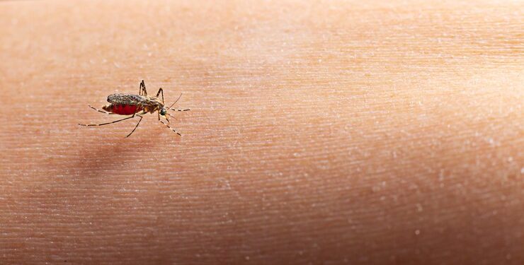 Emergência contra dengue: Governo diz que são 50 mil casos e 11 mortes