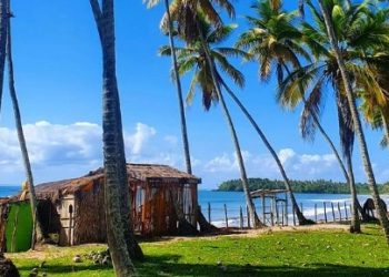 Boipeba está ameaçada: Saiba tudo sobre lixão a céu aberto