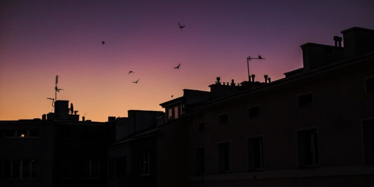 Cinco dias após ciclone, mais de 30 mil imóveis seguem sem luz em São Paulo