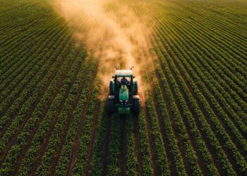 Estado amplia recursos do Município Agro Paulista e certifica número recorde de cidades