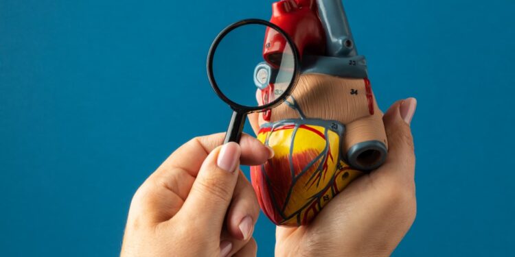 Novas metas para o colesterol apertam o cerco contra infarto e AVC