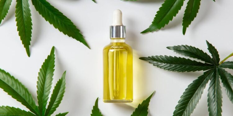 Pesquisa da USP recruta cuidadores para estudo sobre canabidiol e burnout