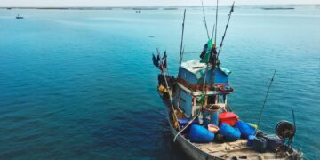 Rede ilegal de 18 km rende multa de R$ 703 mil a pescadores no litoral de São Paulo