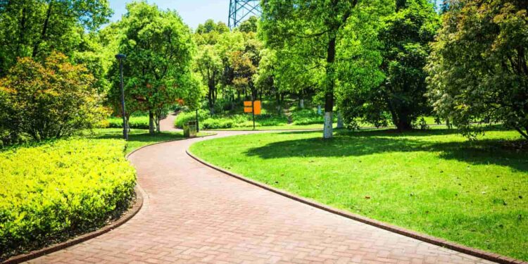 Novo parque urbano em Goiânia reforça recuperação ambiental e inspira projetos de revitalização nas cidades